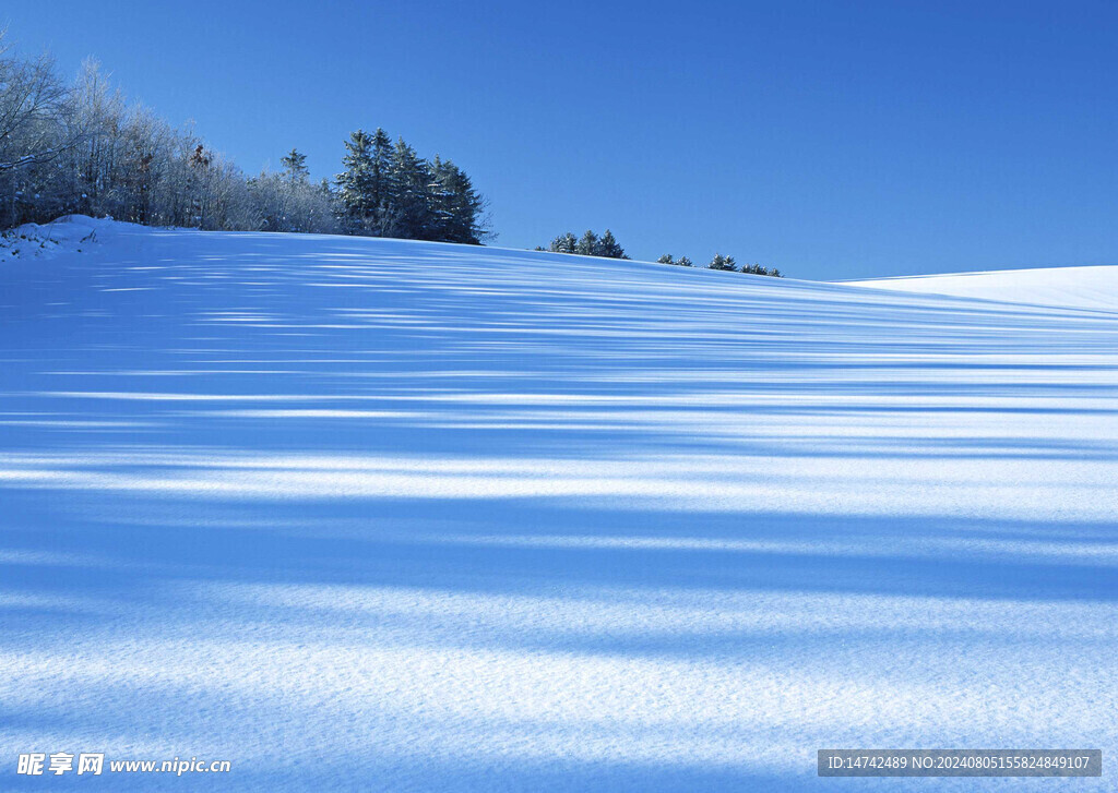 冰天雪地