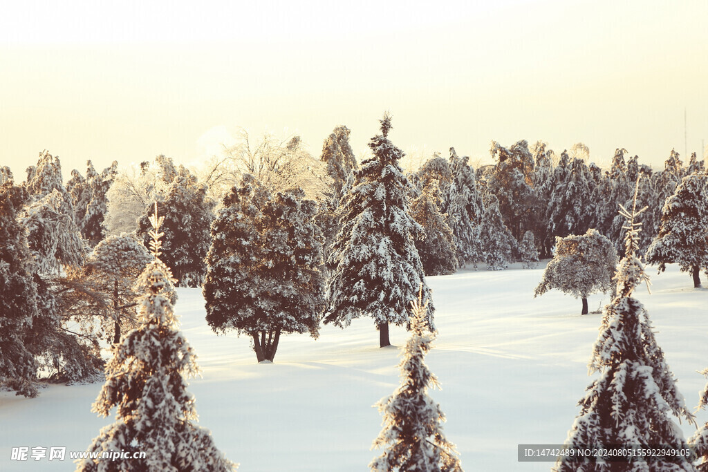 雪景