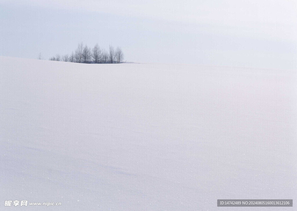 冰天雪地