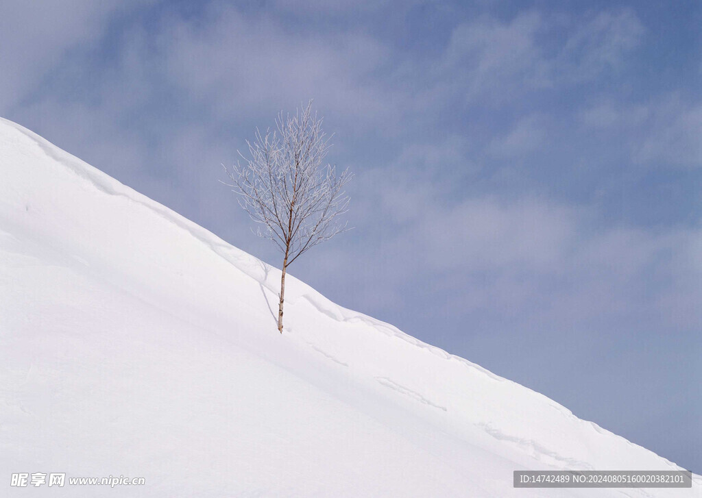 冰天雪地