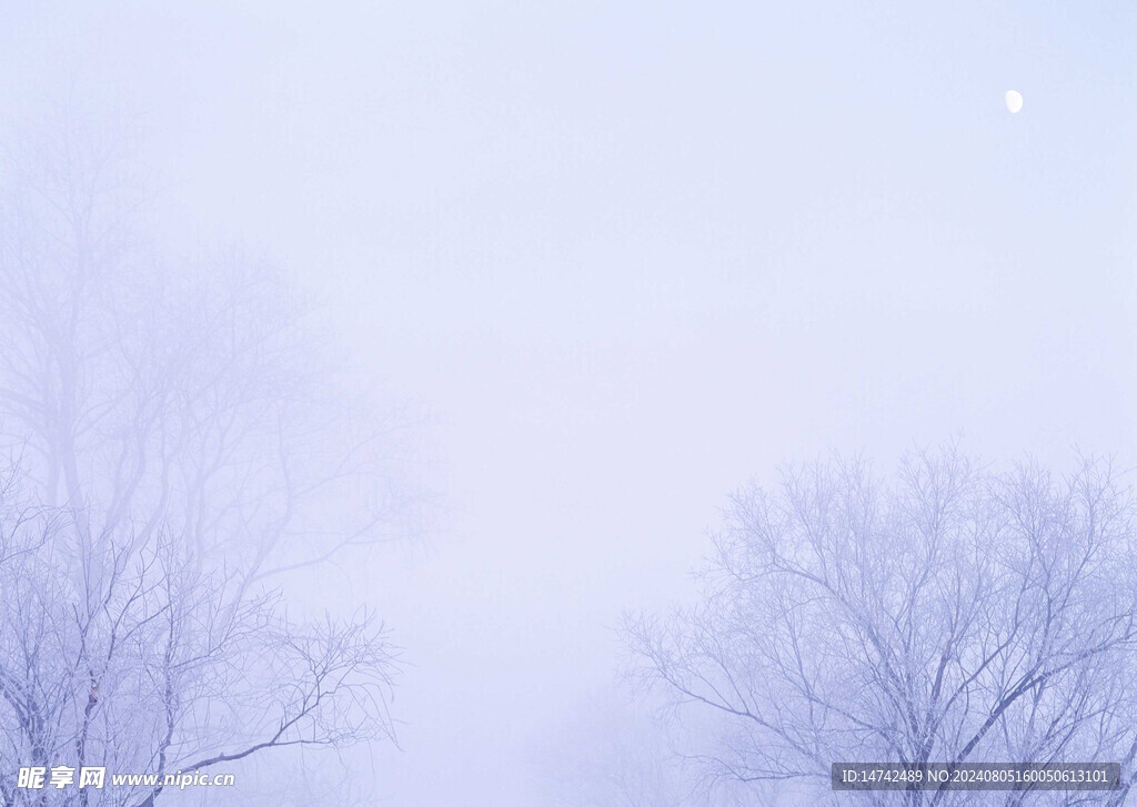 冰天雪地