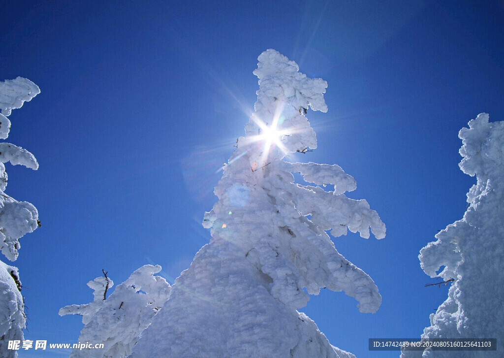 冰天雪地