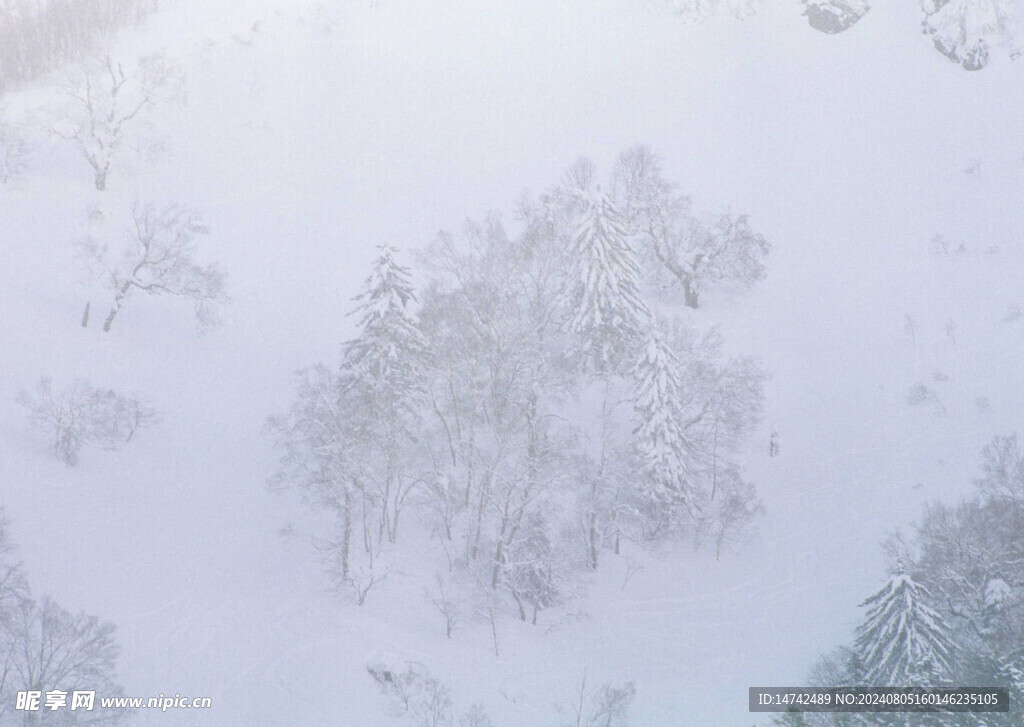 雪景