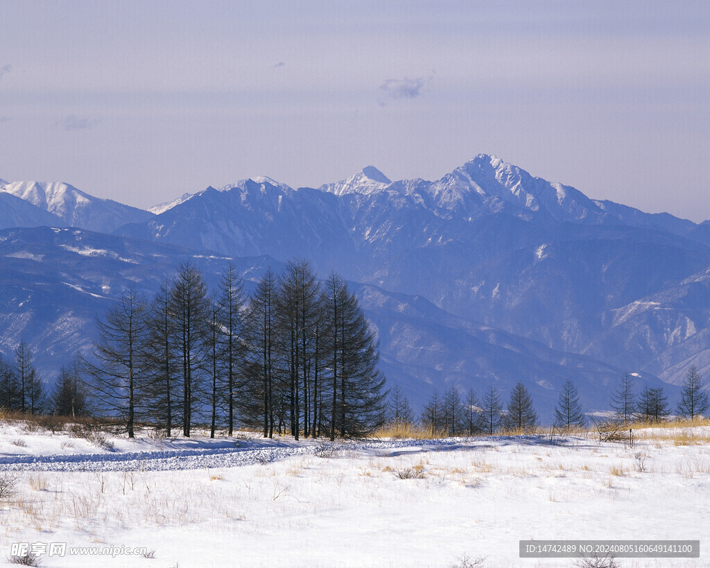 雪景