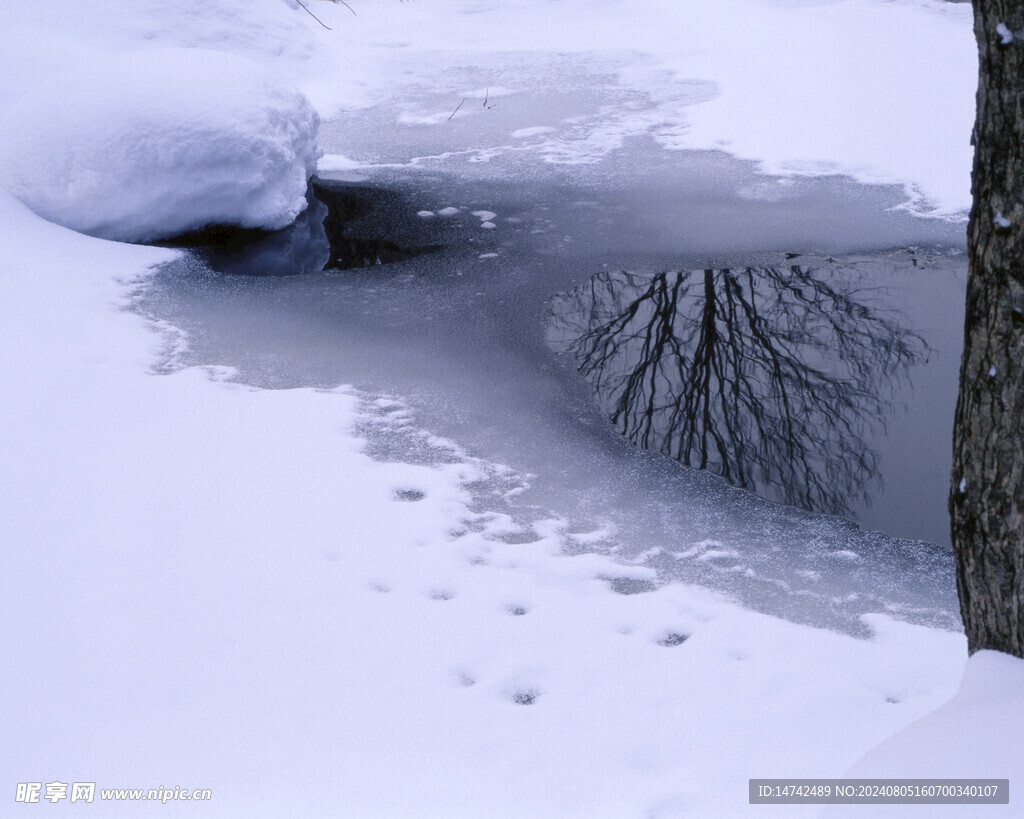 雪景