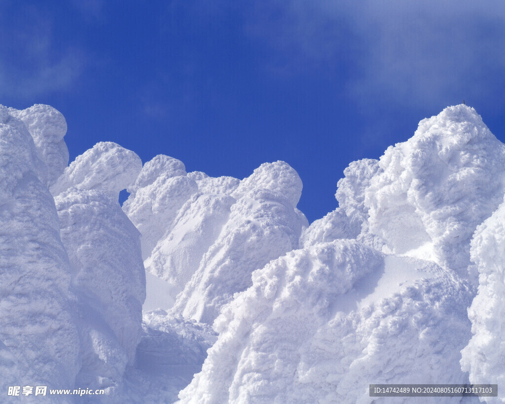 雪景
