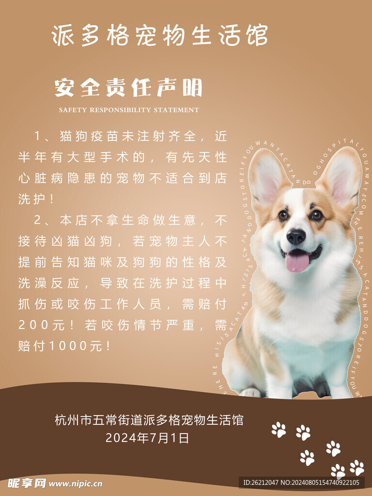 宠物海报