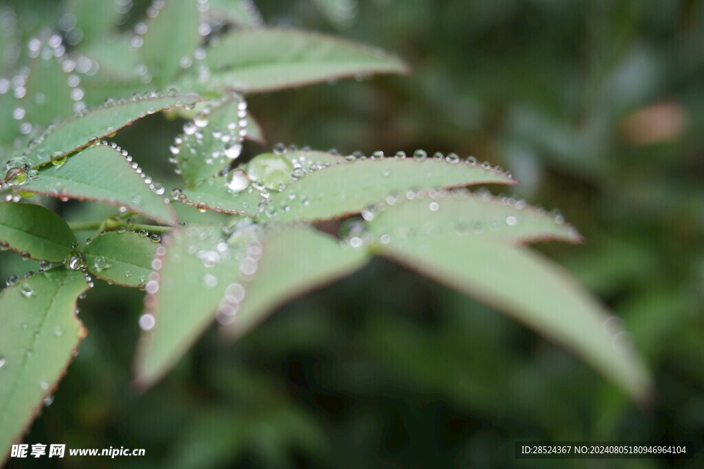 雨天