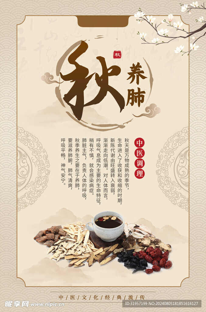 中医文化