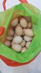 农村土鸡蛋