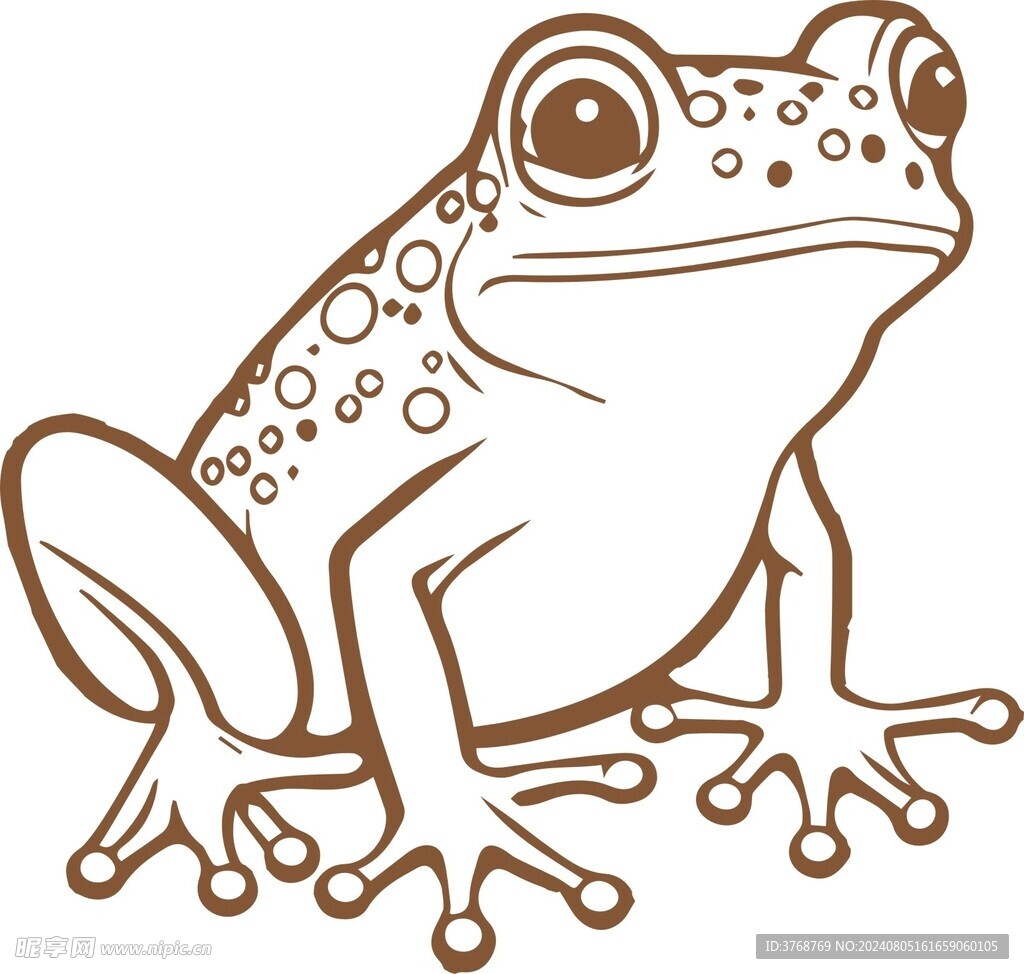 青蛙
