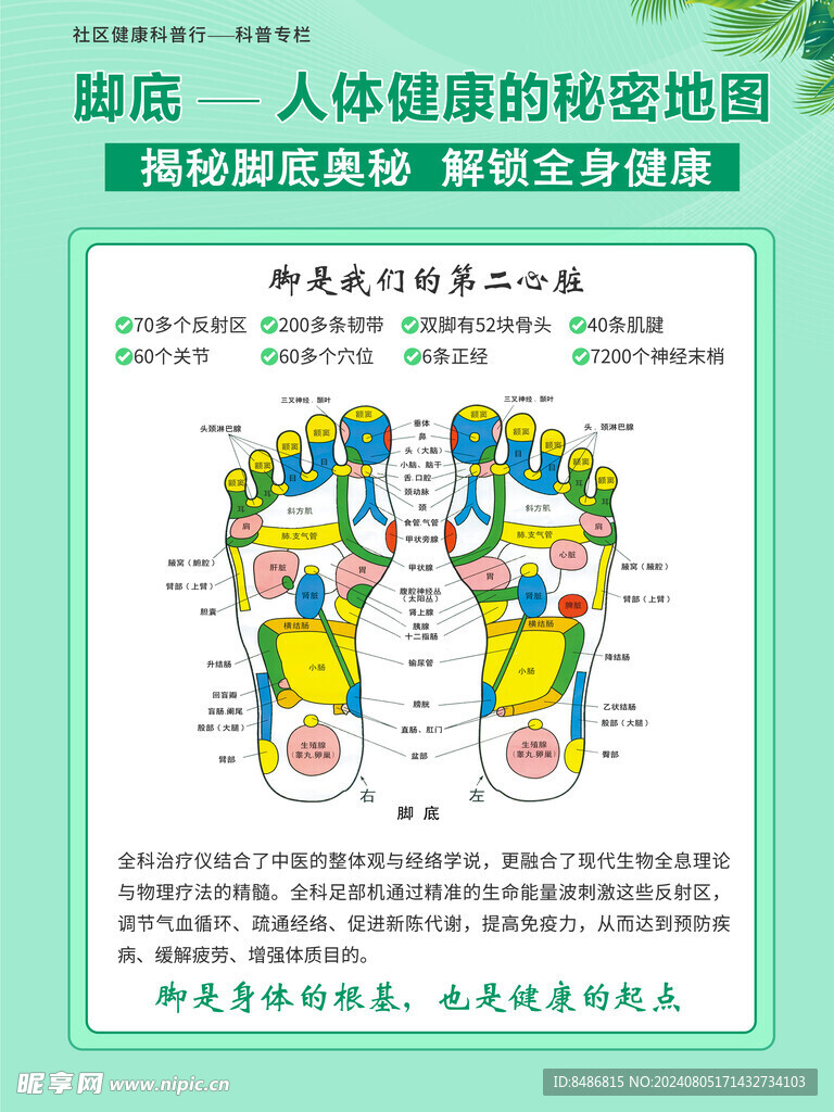 经络图