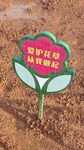 花草牌