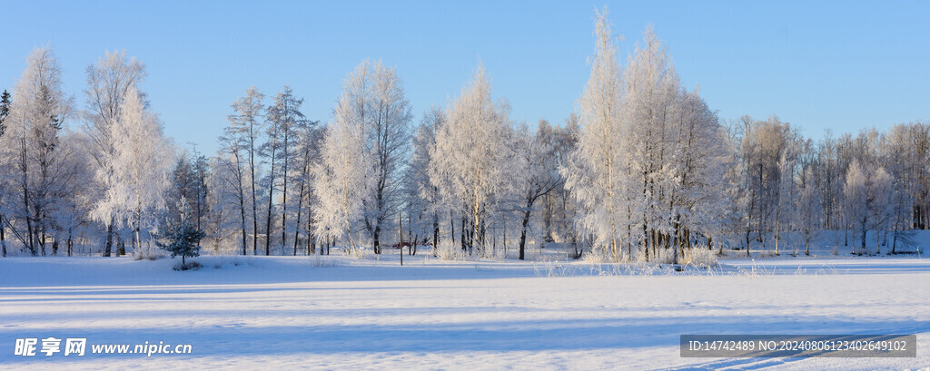 雪景