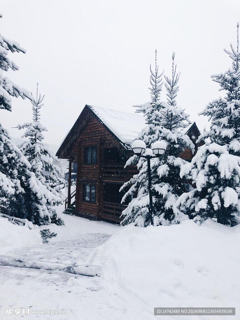 雪景