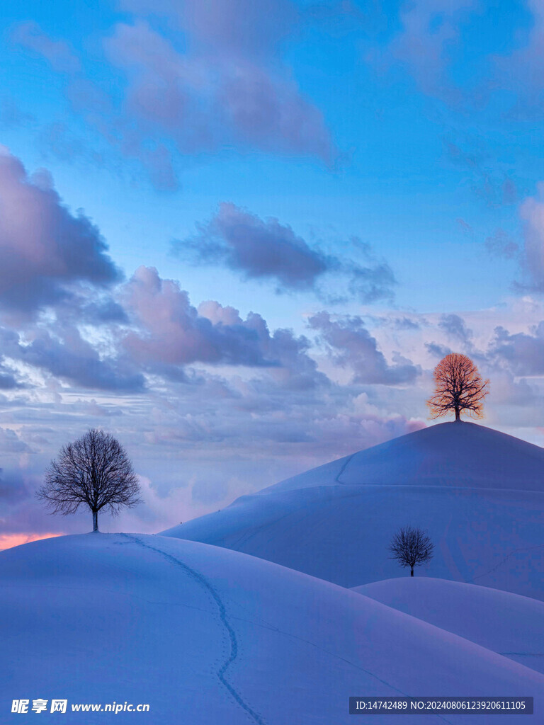 雪景