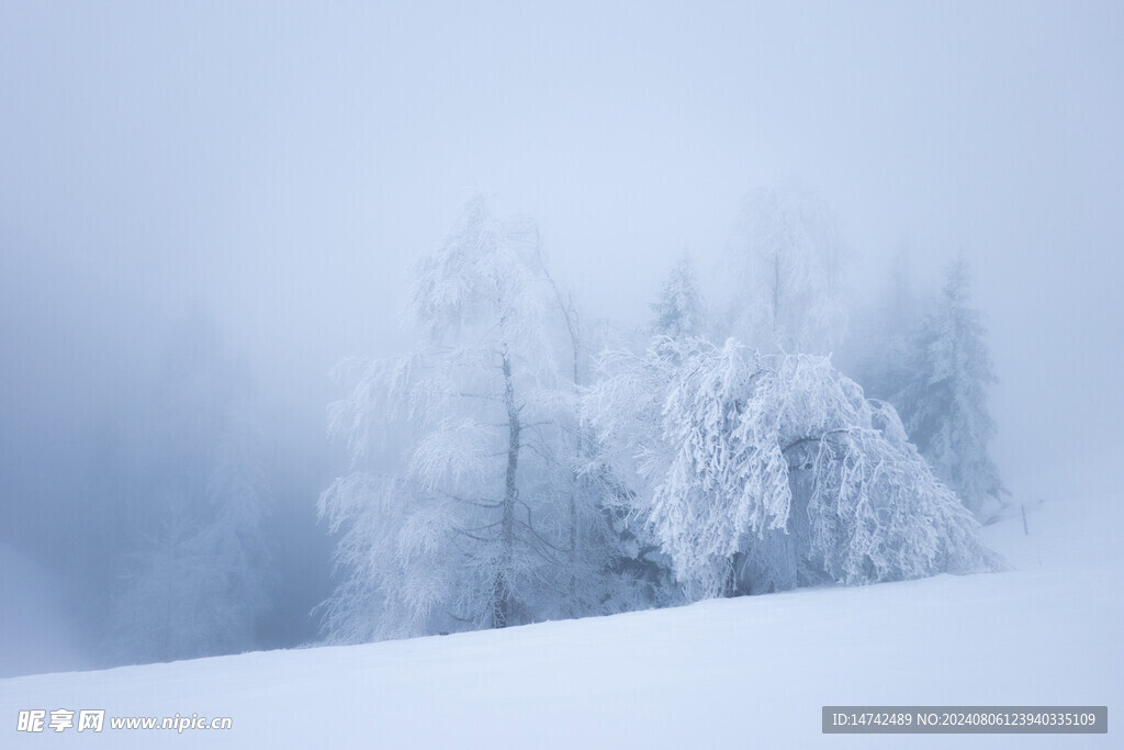 雪景
