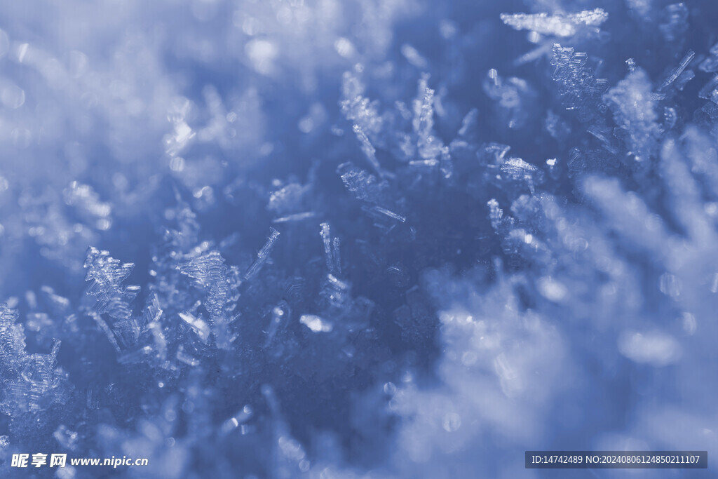 雪景