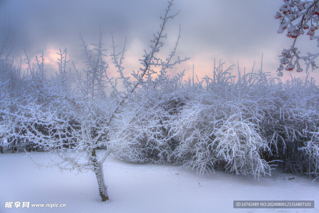 雪景