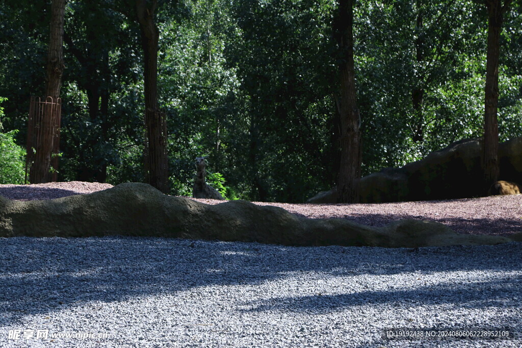 公园风景  