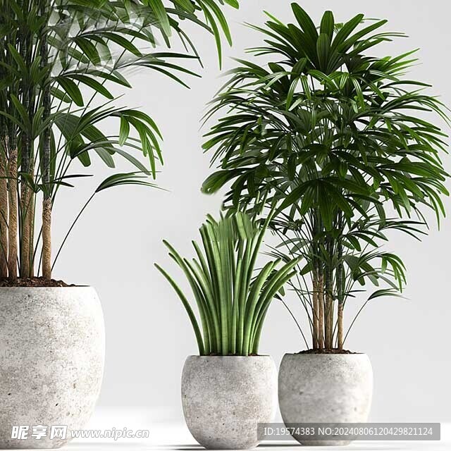 C4D模型 绿色植物