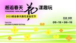 春日出游邂逅春天花漾趣玩