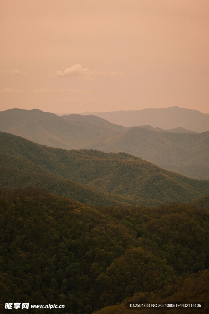 山