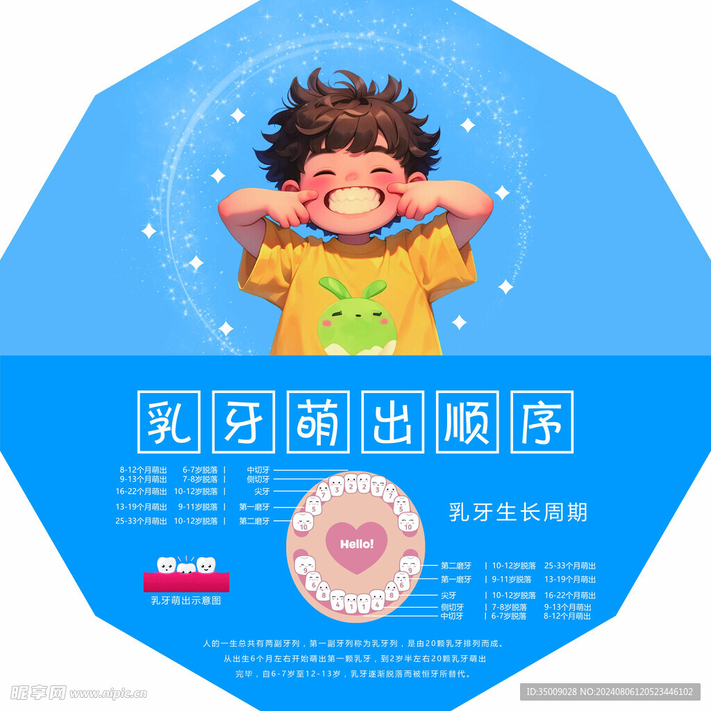 乳牙萌出顺序