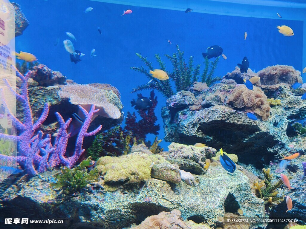 水族馆