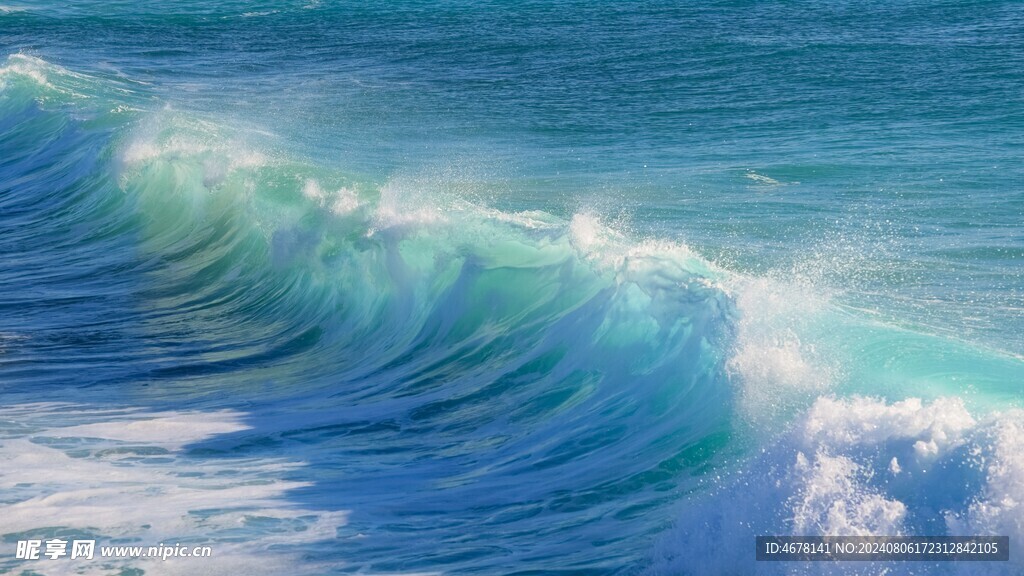 大海