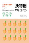 蔬菜标签