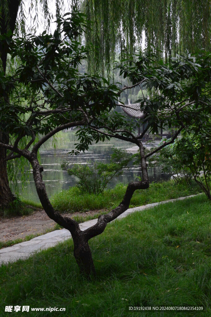公园风景 