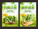 白菜海报