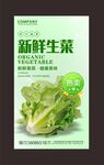 生菜海报