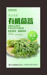 茼蒿海报