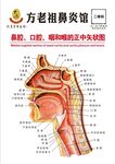 鼻炎馆鼻腔口腔咽和喉咙矢量图