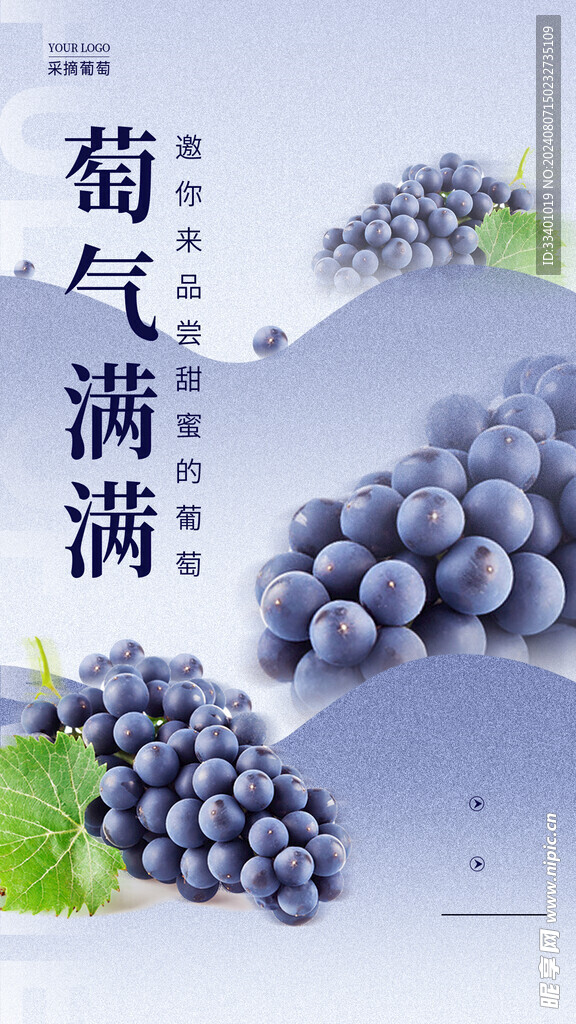 葡萄海报