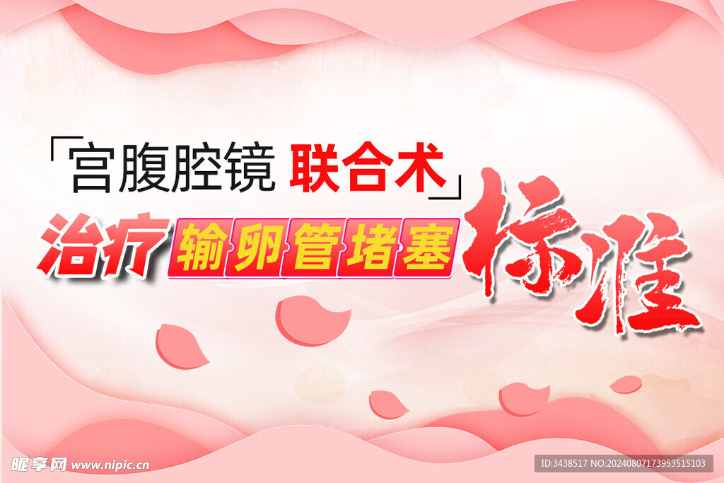 宫腹腔镜联合术标准页封面
