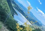 山上湖水