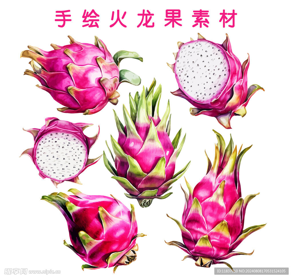 手绘火龙果
