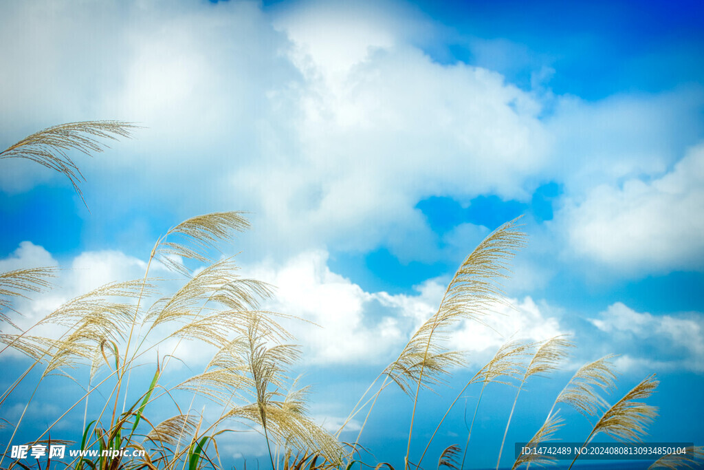 天空云彩