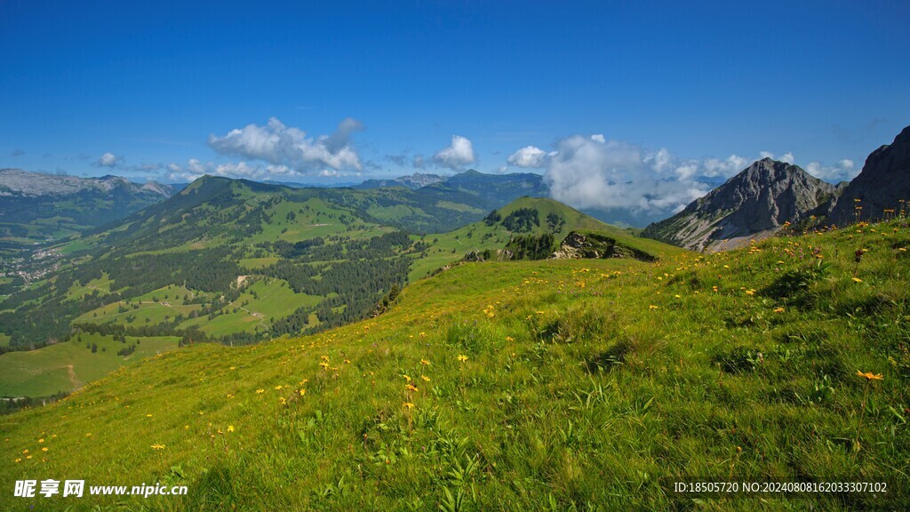 大山风景