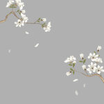 玉兰花素材