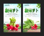 萝卜海报