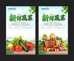 蔬菜海报