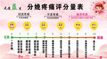 分娩疼痛评分量表