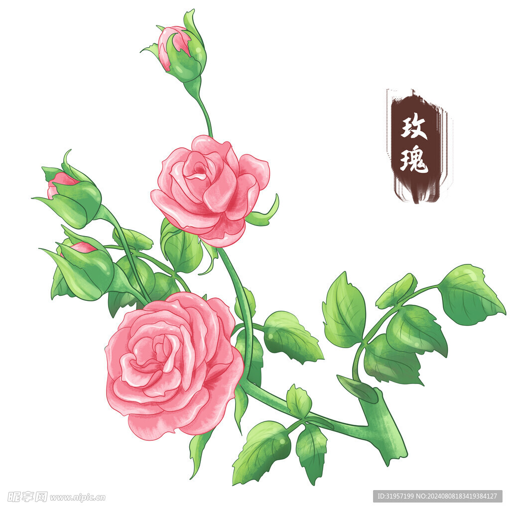 手绘玫瑰