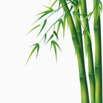 中国风竹子手绘