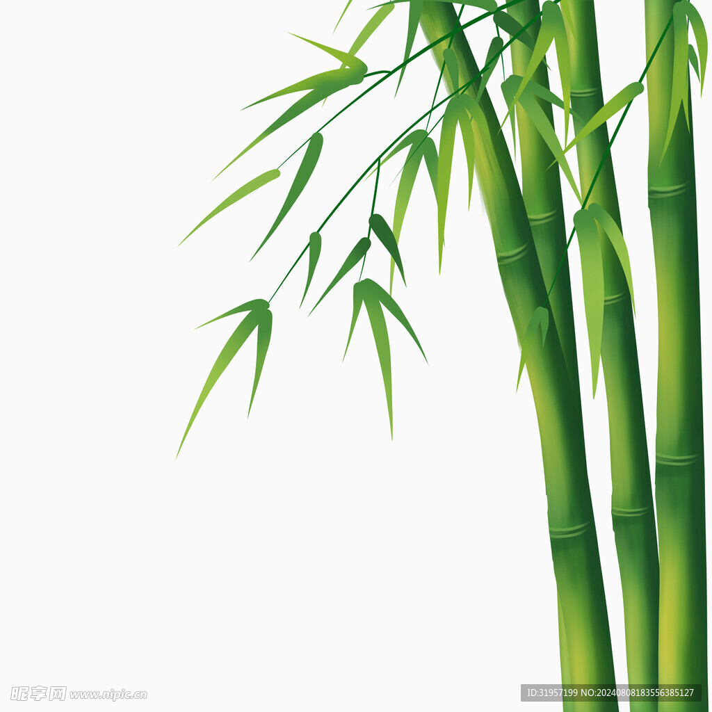 中国风竹子手绘
