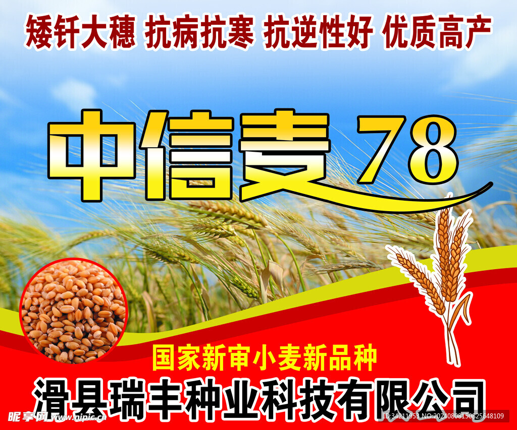 中信麦